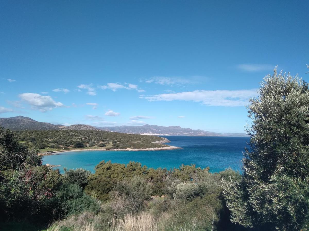 Almira sea view Appartment Istron Esterno foto